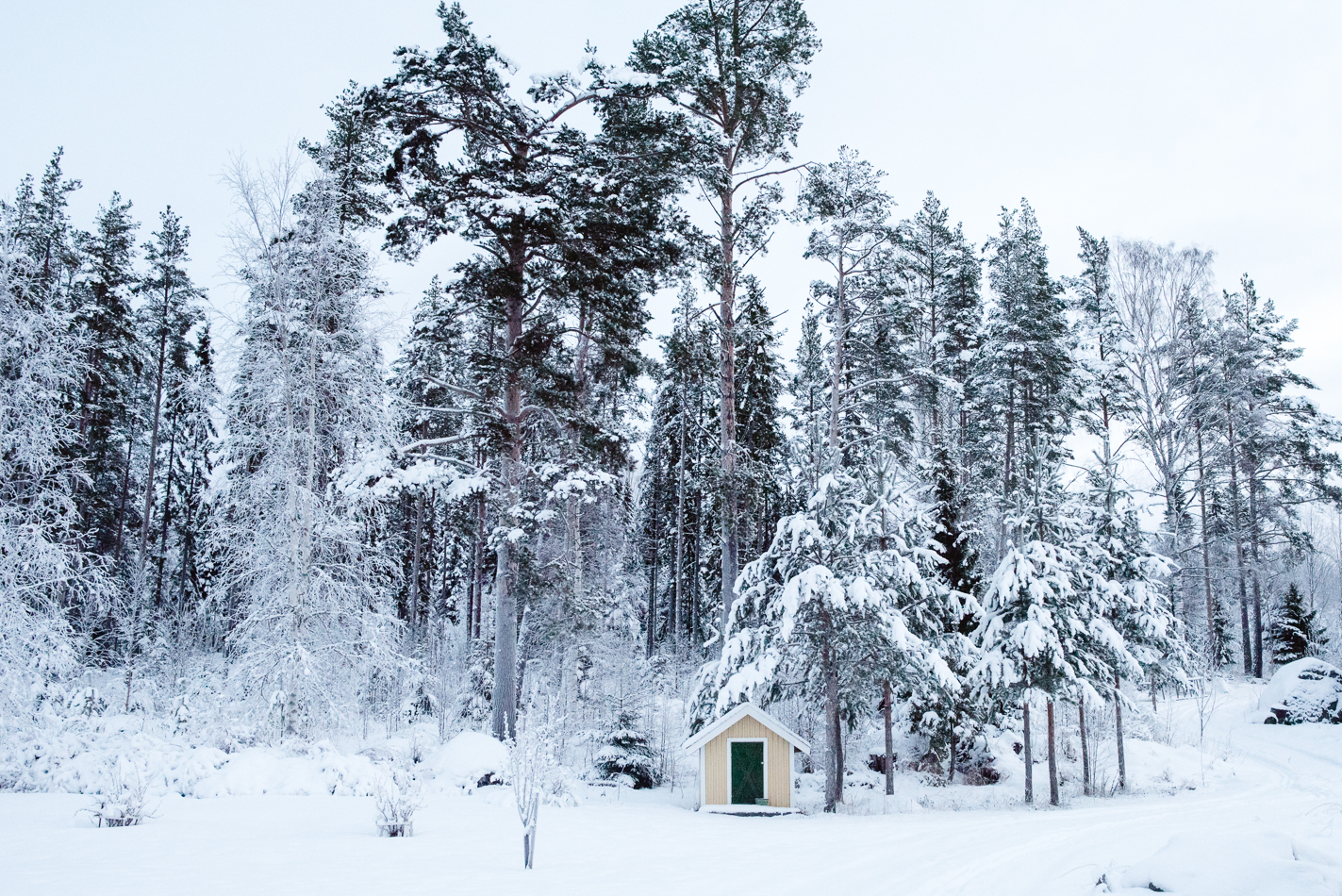 sweden-snow-blog-hannah-wilson-1